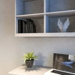 Hyllor><noscript><img width=