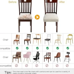 Stolar><noscript><img width=