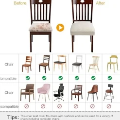 Stolar><noscript><img width=