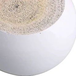 Pallar><noscript><img width=