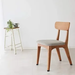 Stolar><noscript><img width=