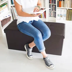 B2X Kistor & Koffertar>Bänk med förvaringsutrymme i konstläder