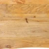 vidaXL Småbord>Bordsskiva 40x40x2,5 cm levande kant massivt mangoträ