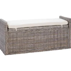 vidaXL Balkongmöbler>Förvaringsbänk med kudde Grå 110 x 40 x 50 cm Rotting