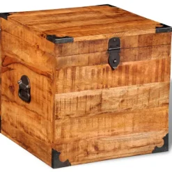 vidaXL Kistor & Koffertar>Förvaringskista kubisk robust mangoträ