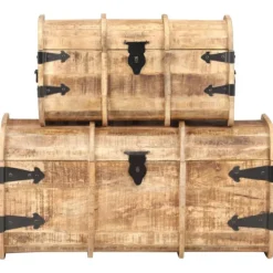 vidaXL Kistor & Koffertar>Förvaringskistor 2 st massivt mangoträ