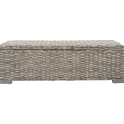 vidaXL Kistor & Koffertar>Förvaringslåda grå 110 cm kuburotting och massivt mahognyträ