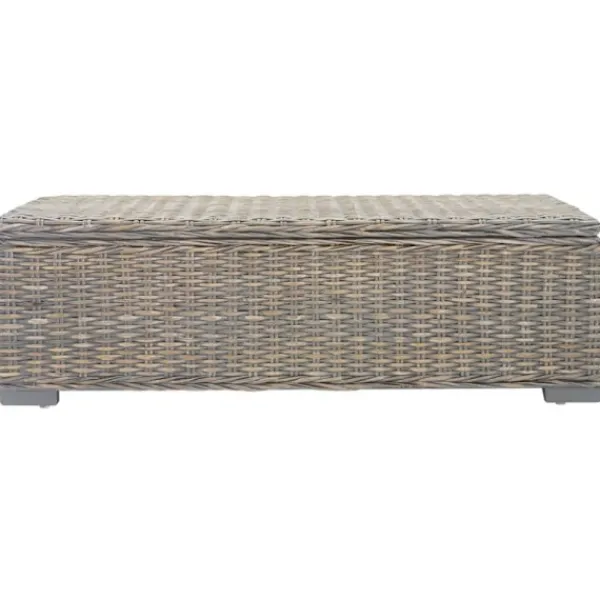 vidaXL Kistor & Koffertar>Förvaringslåda grå 110 cm kuburotting och massivt mahognyträ