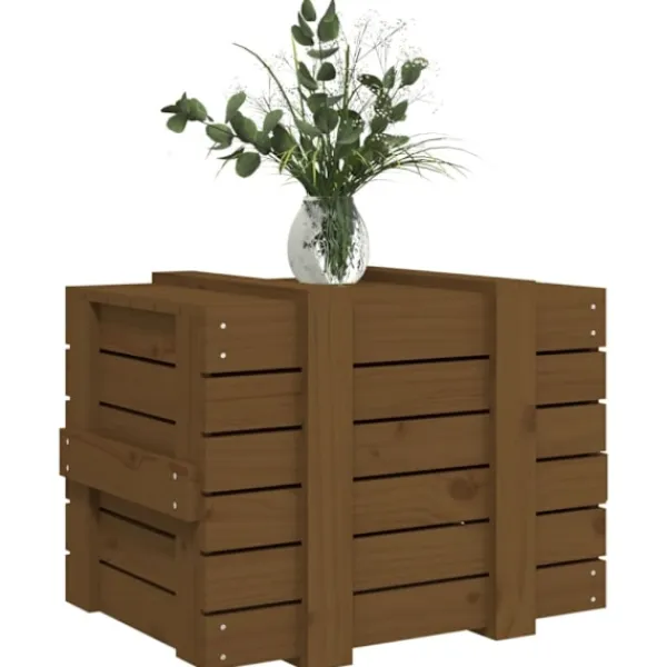 vidaXL Kistor & Koffertar>Förvaringslåda honungsbrun 58x40,5x42 cm massiv furu