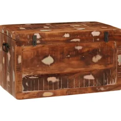 vidaXL Kistor & Koffertar>Förvaringslåda med lagring med dörr Brun Massivt mangoträ