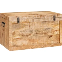 vidaXL Kistor & Koffertar>Förvaringslåda med lagring med dörr Brun Massivt mangoträ