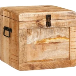 vidaXL Kistor & Koffertar>Förvaringslåda med lagring med dörr Brun Massivt mangoträ