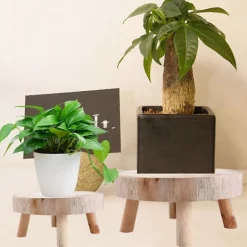 Småbord>Mini Träpall Display Växtställ Dekorativ Trä Växtpall Bonsaihållare för Inomhus Utomhus Hem Trädgård C