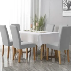 Stolar><noscript><img width=