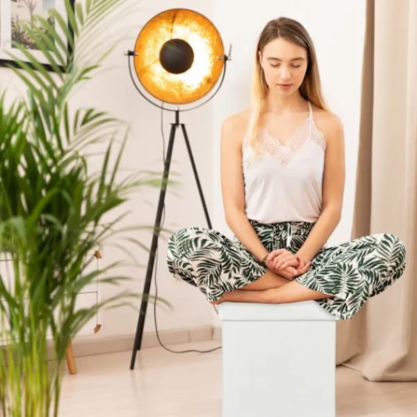 B2X Sittpuffar>Pall med förvaringsutrymme