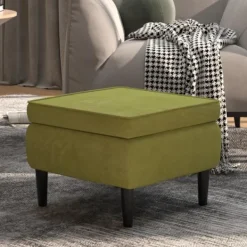 vidaXL Sittpuffar>Pall med träben ljusgrön sammet