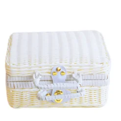 Kistor & Koffertar>Picknickkorg Stor Storlek Organizer Behållare Förvaringskorg Med Lock 22x17x11CM