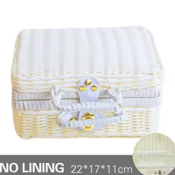 Kistor & Koffertar>Picknickkorg Stor Storlek Organizer Behållare Förvaringskorg Med Lock 22x17x11CM