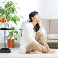 B2X Småbord><noscript><img width=