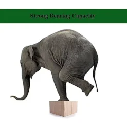 Sängar><noscript><img width=