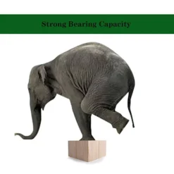 Sängar><noscript><img width=