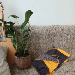 Soffor><noscript><img width=