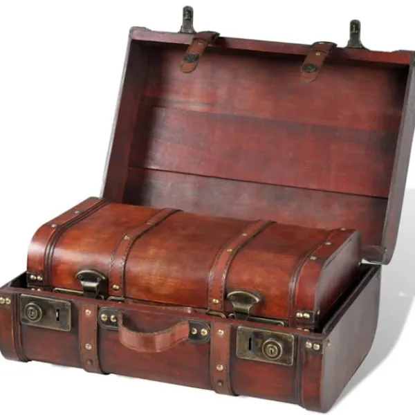 vidaXL Kistor & Koffertar>Skattkistor vintagestil 2 st trä brun