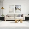 vidaXL Soffbord>Soffbord 2 st svart 50x50x40 cm konstruerat trä