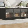 vidaXL Tv-Bänkar>Soffbord med glasdörrar svart 102x50x42 cm