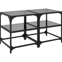 vidaXL Småbord>Soffbord med svart glasskiva 2 st 40x40x45 cm stål