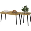 Northio Soffbord>Soffbordsset med 2 sidobord med stålstomme, vardagsrumsbord, soffbord för vardagsrum, sovrum, naturlig