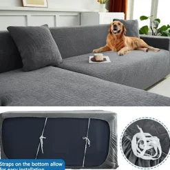 Soffor><noscript><img width=