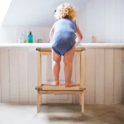 B2X Pallar><noscript><img width=