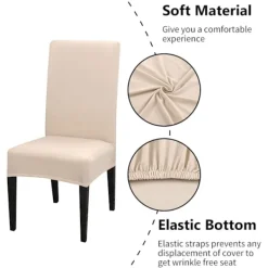 Stolar><noscript><img width=