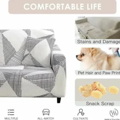 Soffor><noscript><img width=