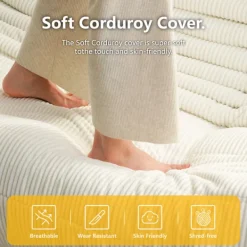 Soffor><noscript><img width=