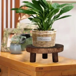 Pallar><noscript><img width=