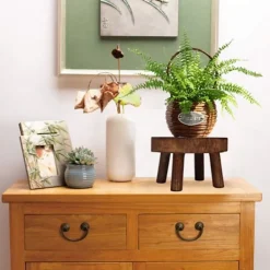 Pallar><noscript><img width=