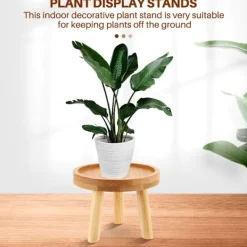 Pallar><noscript><img width=