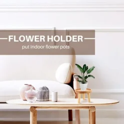 Pallar><noscript><img width=