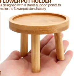 Pallar><noscript><img width=