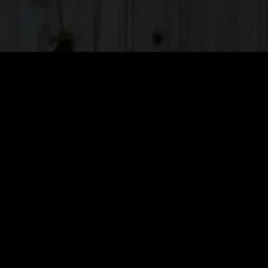 vidaXL Matgrupper><noscript><img width=