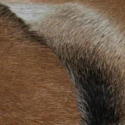 vidaXL Balkongmöbler><noscript><img width=