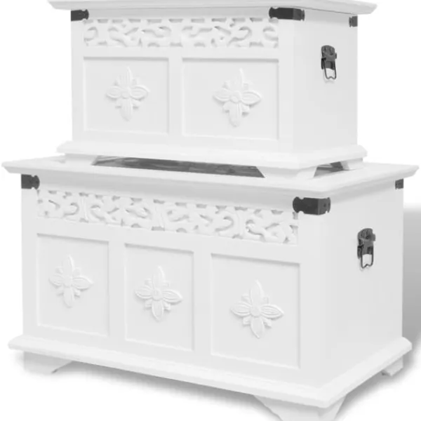 vidaXL Kistor & Koffertar>Förvaringskista 2 st