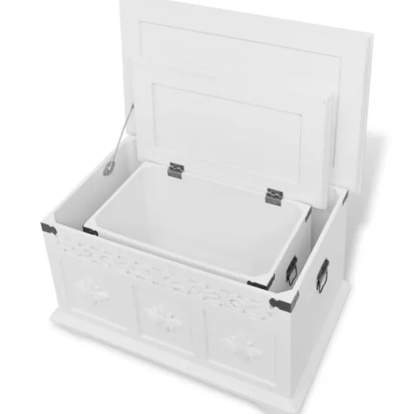 vidaXL Kistor & Koffertar>Förvaringskista 2 st