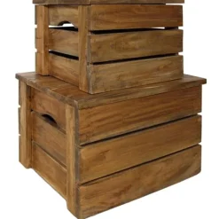 vidaXL Kistor & Koffertar>Förvaringskistor 2 st massivt återvunnet trä
