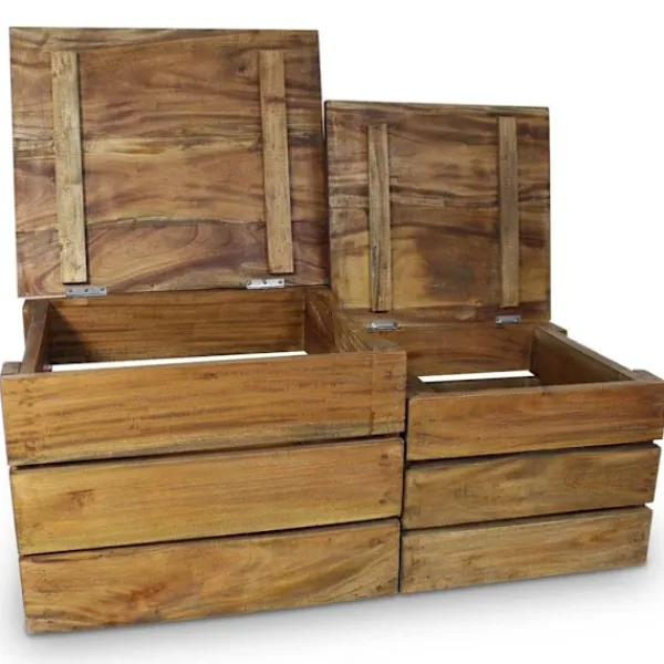 vidaXL Kistor & Koffertar>Förvaringskistor 2 st massivt återvunnet trä