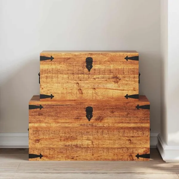 vidaXL Kistor & Koffertar>Förvaringskoffert av mangoträ, 2-set