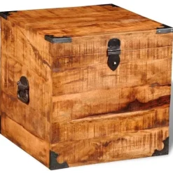 vidaXL Kistor & Koffertar>Fyrkantig förvaringskoffert av mangoträ