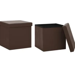 vidaXL Kistor & Koffertar>Hopfällbara förvaringspallar 2 st PVC